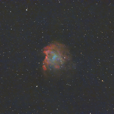 NGC 2174 - The Monkey Head Nebula in constellation Orion.
