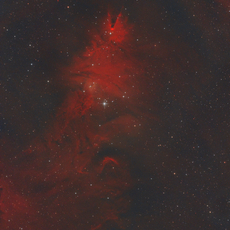 The Cone and the Fox Fur Nebula in constellation Monoceros.